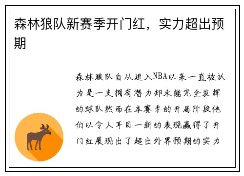森林狼队新赛季开门红，实力超出预期